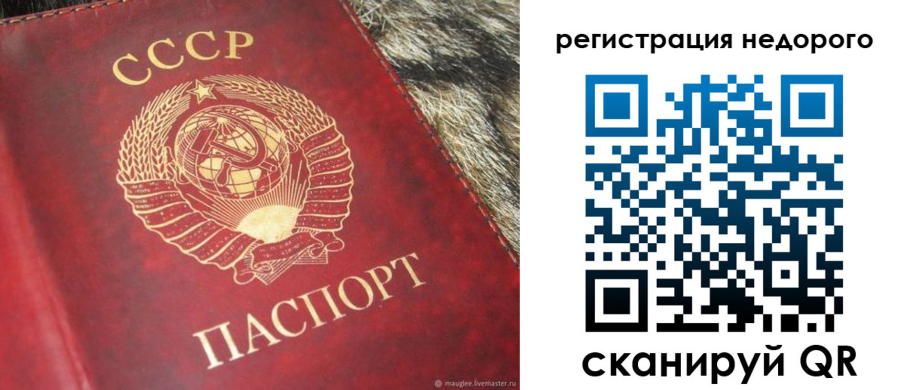прописка ребенка в Хабаровском крае